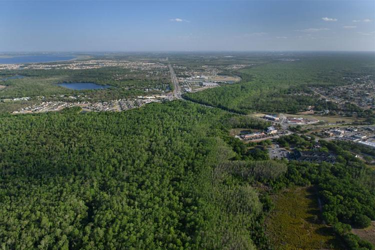 Florida Wildlife Corridor